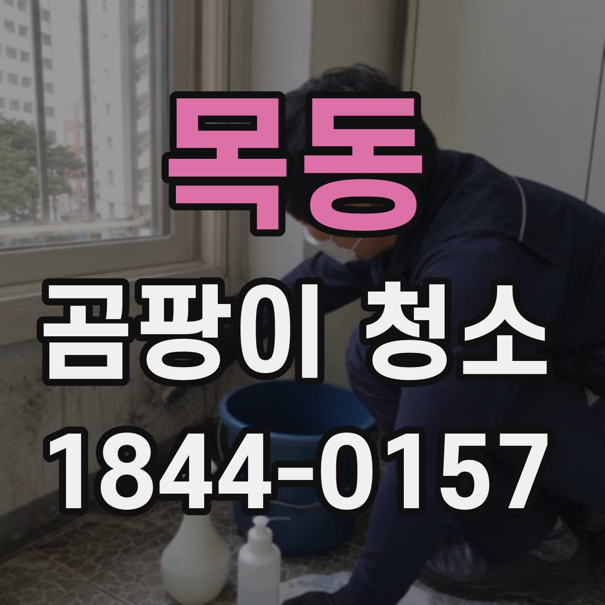 목동 곰팡이 청소