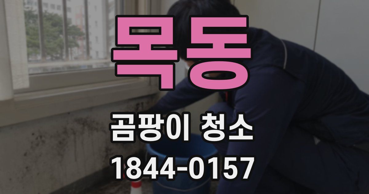 목동 곰팡이 청소