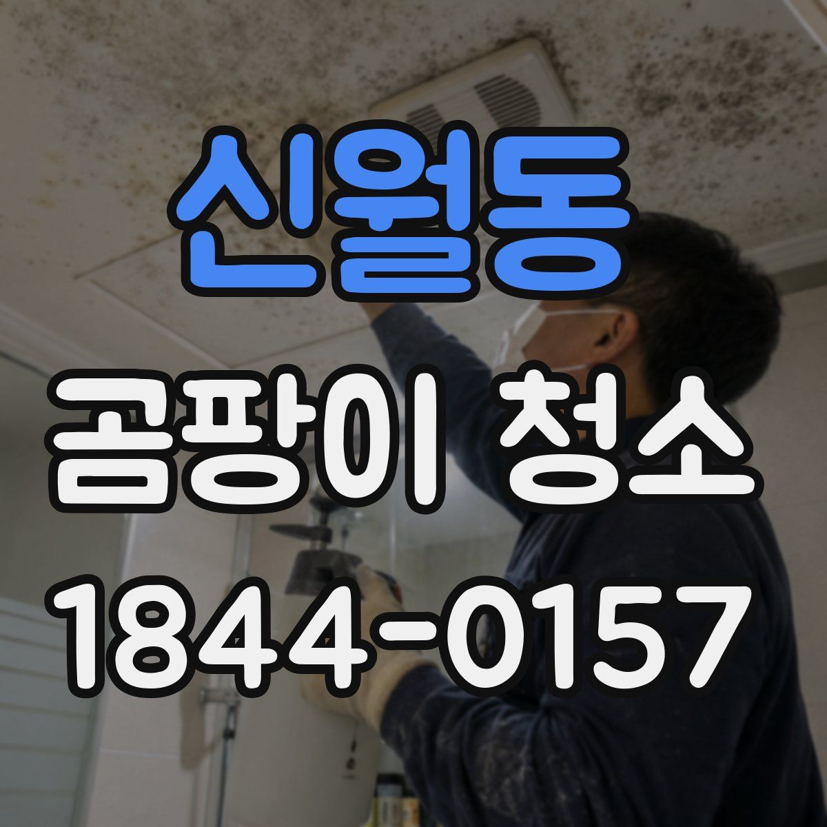 신월동 곰팡이 청소