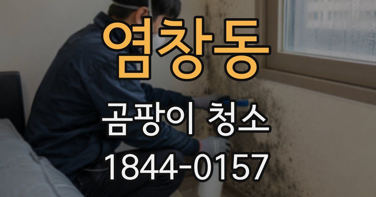 염창동 곰팡이 청소