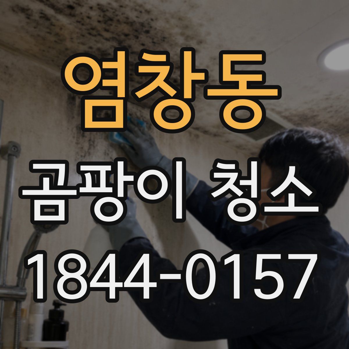 염창동 곰팡이 청소