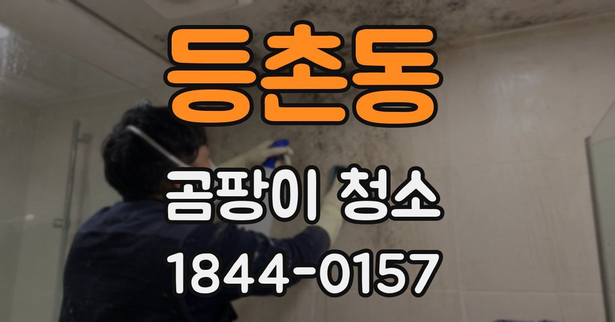 등촌동 곰팡이 청소