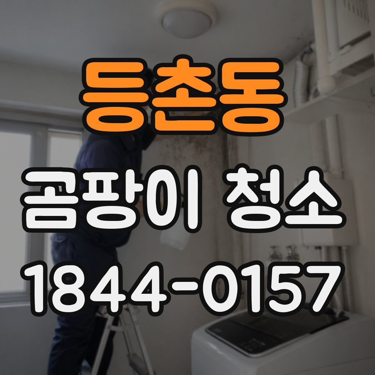 등촌동 곰팡이 청소