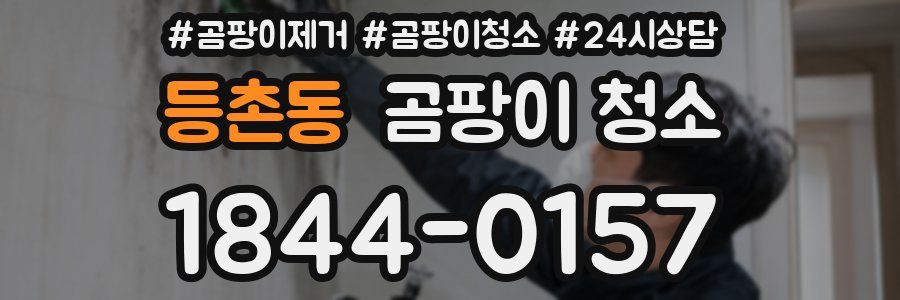 등촌동 곰팡이 청소