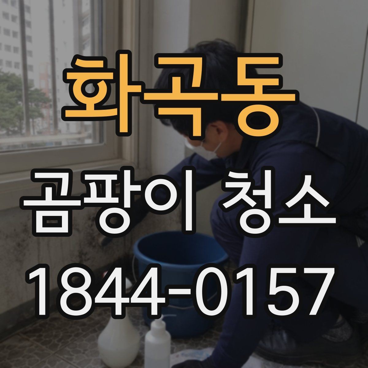 화곡동 곰팡이 청소 알레르기 걱정을 덜기 위한 환기와 마감 관리