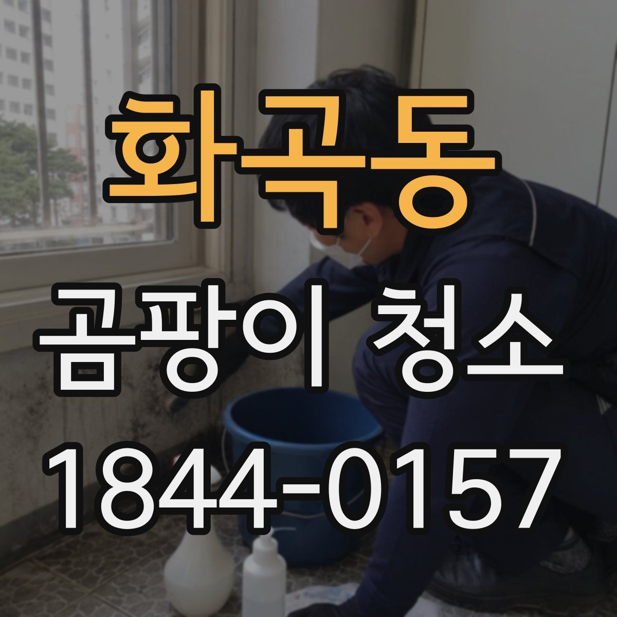 화곡동 곰팡이 청소