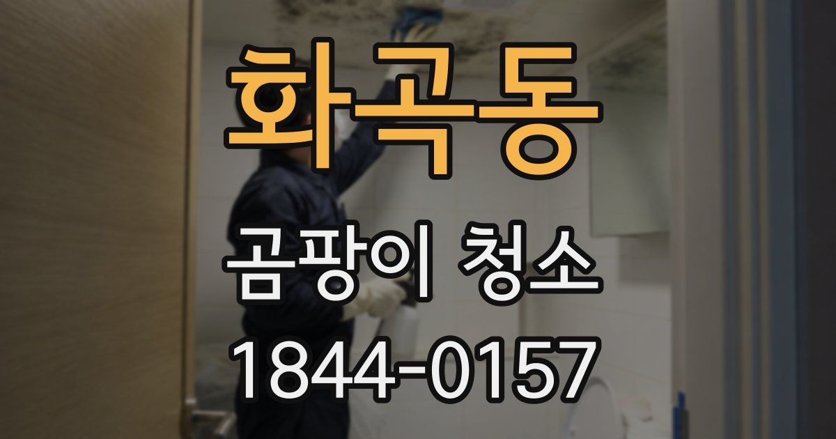 화곡동 곰팡이 청소
