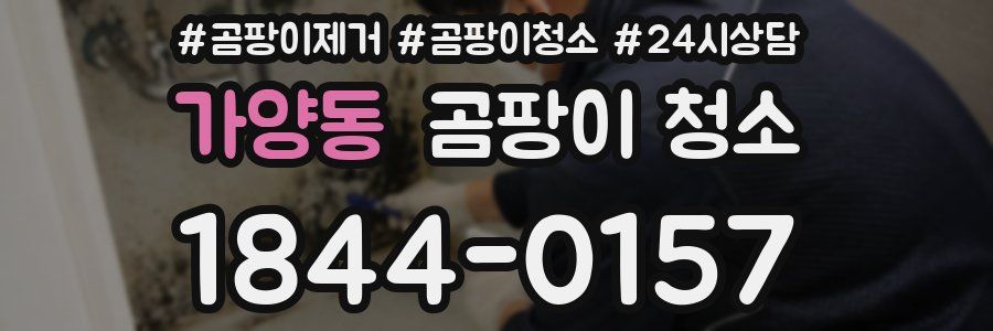 가양동 곰팡이 청소