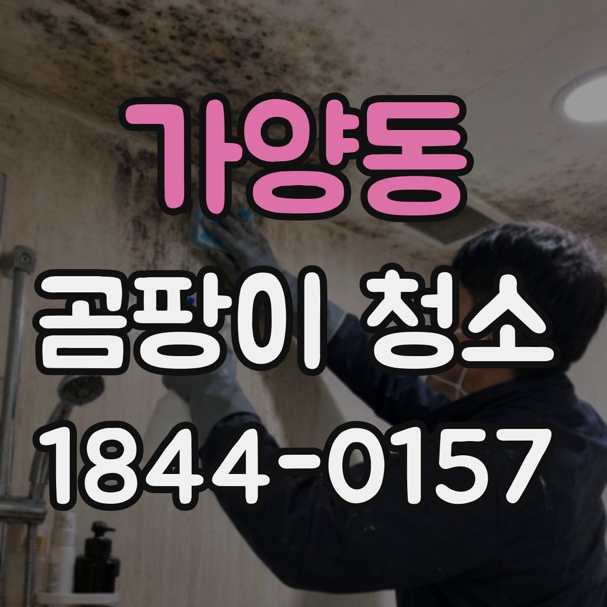가양동 곰팡이 청소