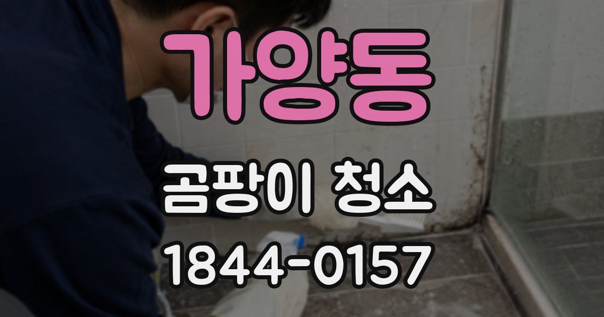 가양동 곰팡이 청소
