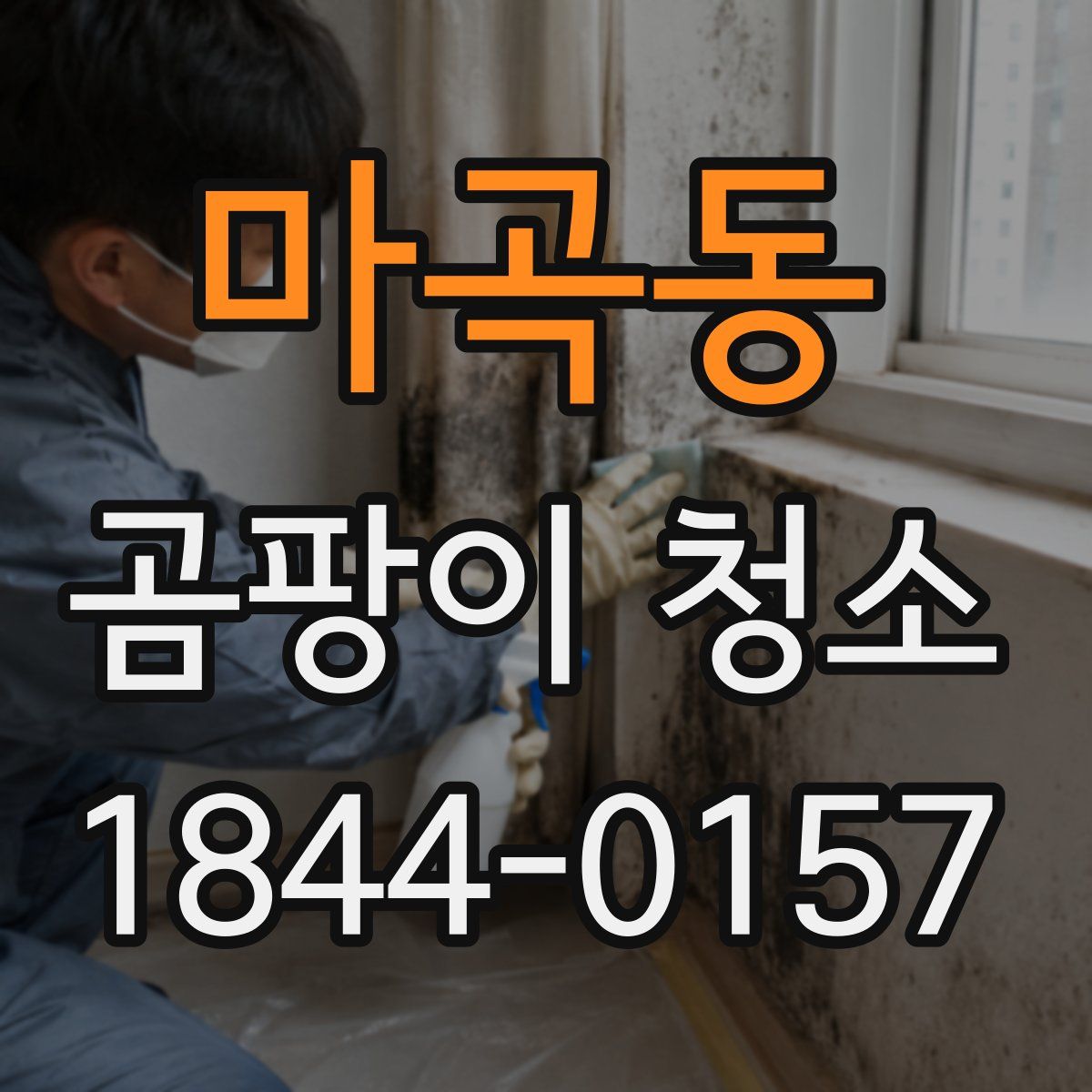 마곡동 곰팡이 청소