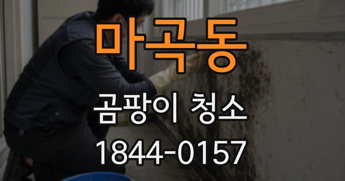마곡동 곰팡이 청소