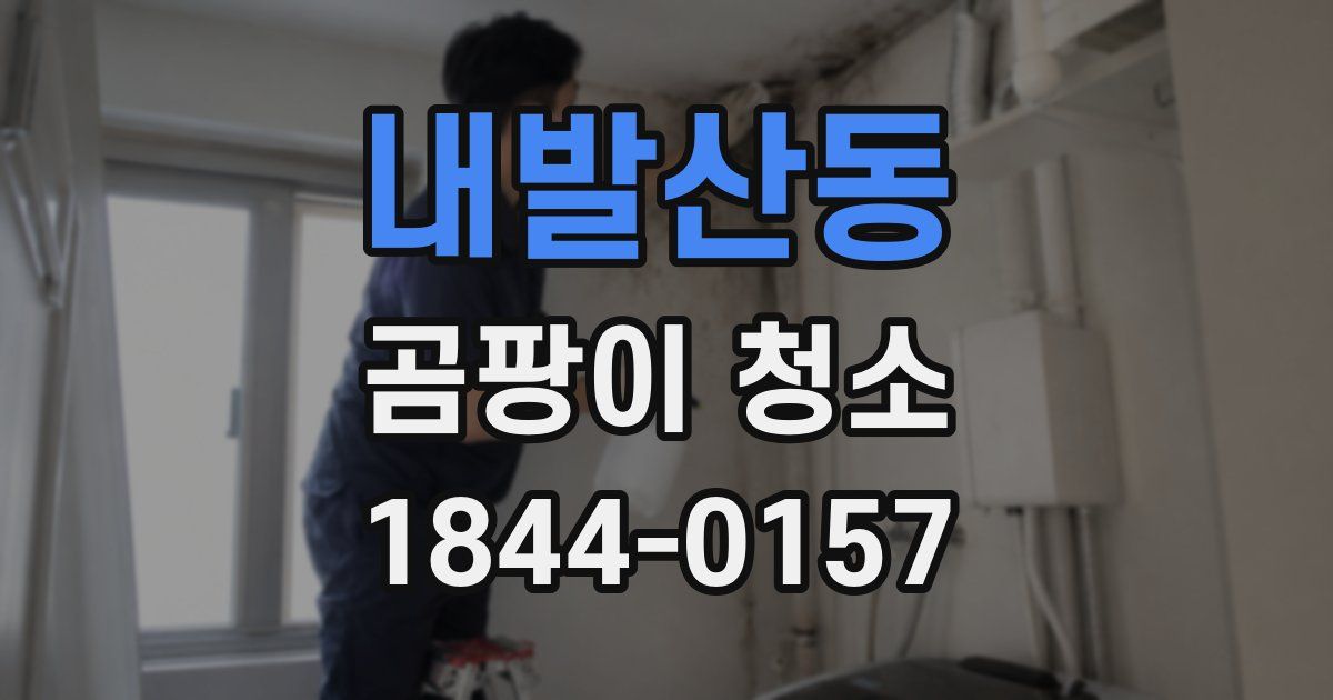 내발산동 곰팡이 청소