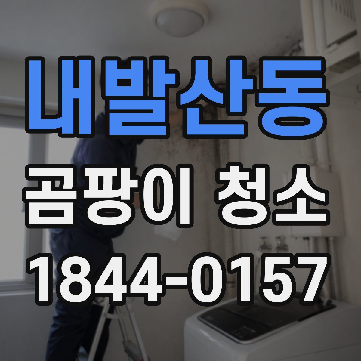 내발산동 곰팡이 청소