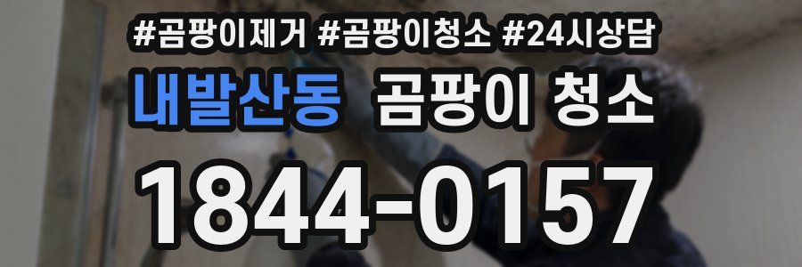 내발산동 곰팡이 청소
