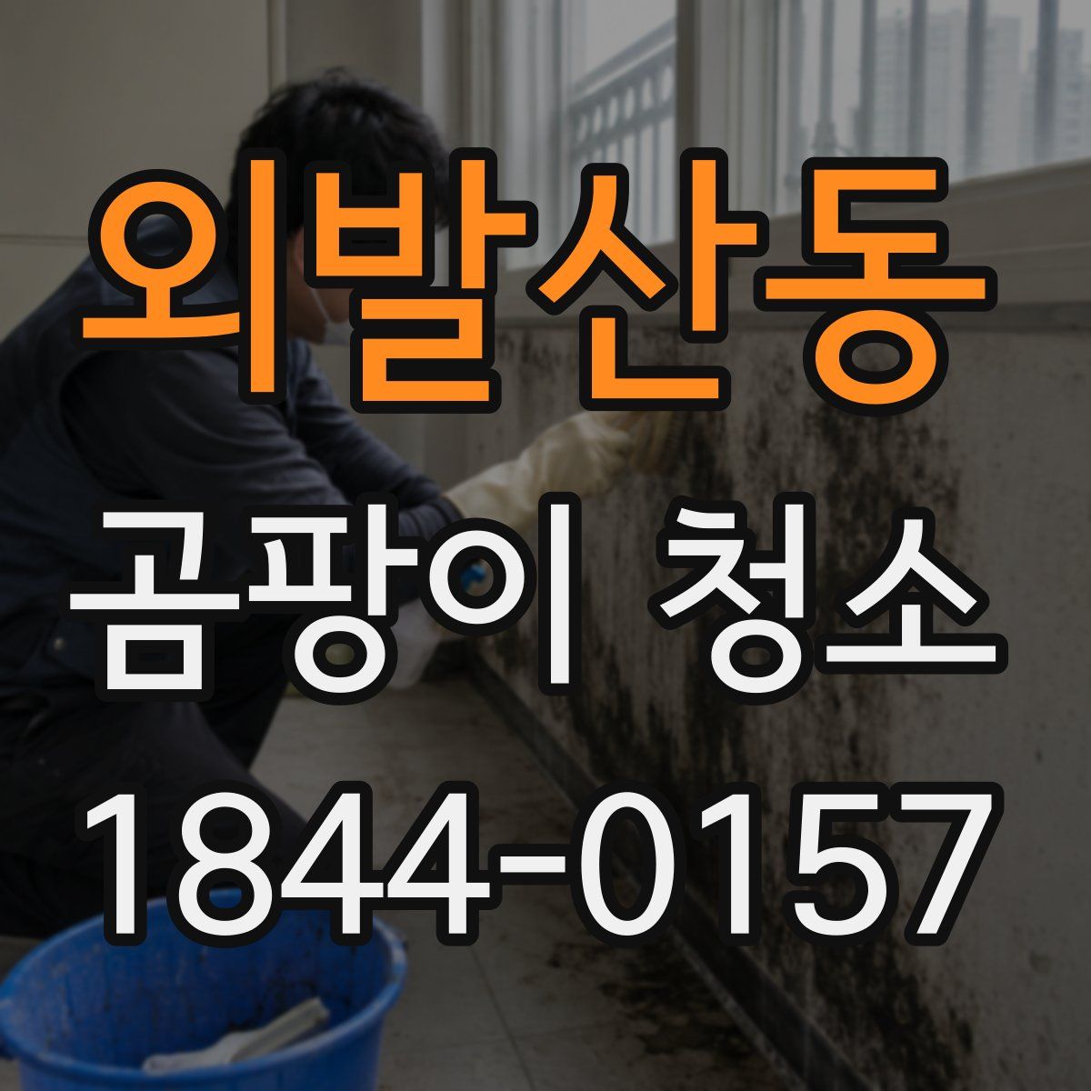 외발산동 곰팡이 청소