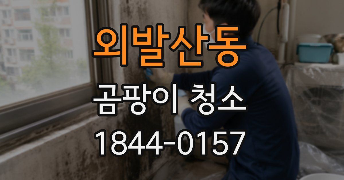 외발산동 곰팡이 청소