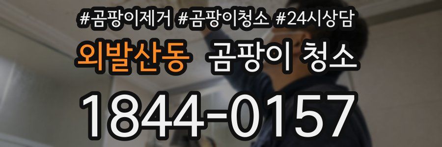 외발산동 곰팡이 청소