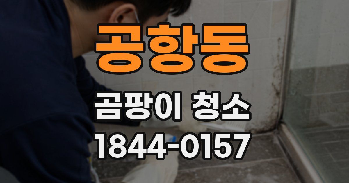 공항동 곰팡이 청소