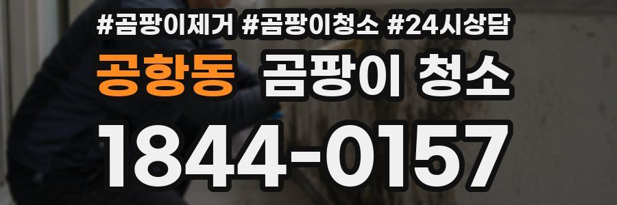 공항동 곰팡이 청소