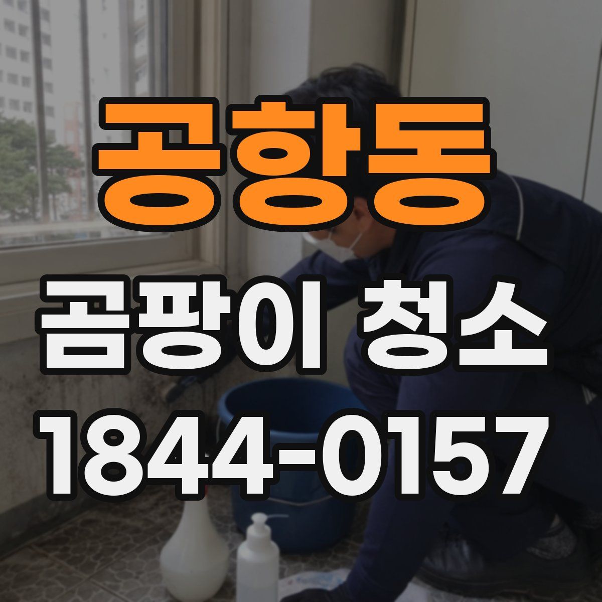 공항동 곰팡이 청소