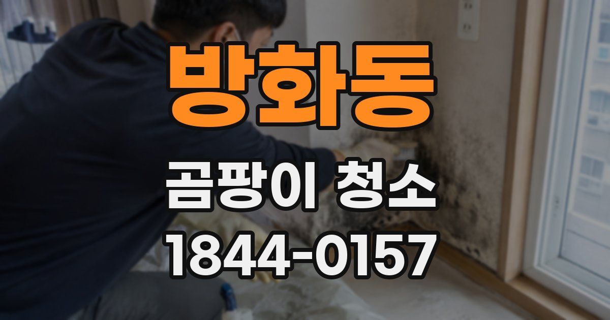 방화동 곰팡이 청소