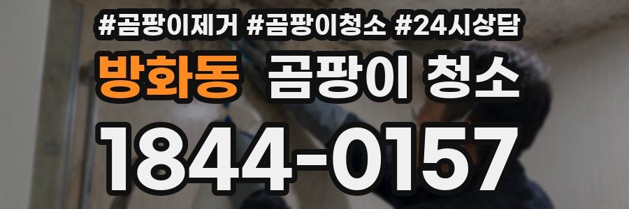 방화동 곰팡이 청소