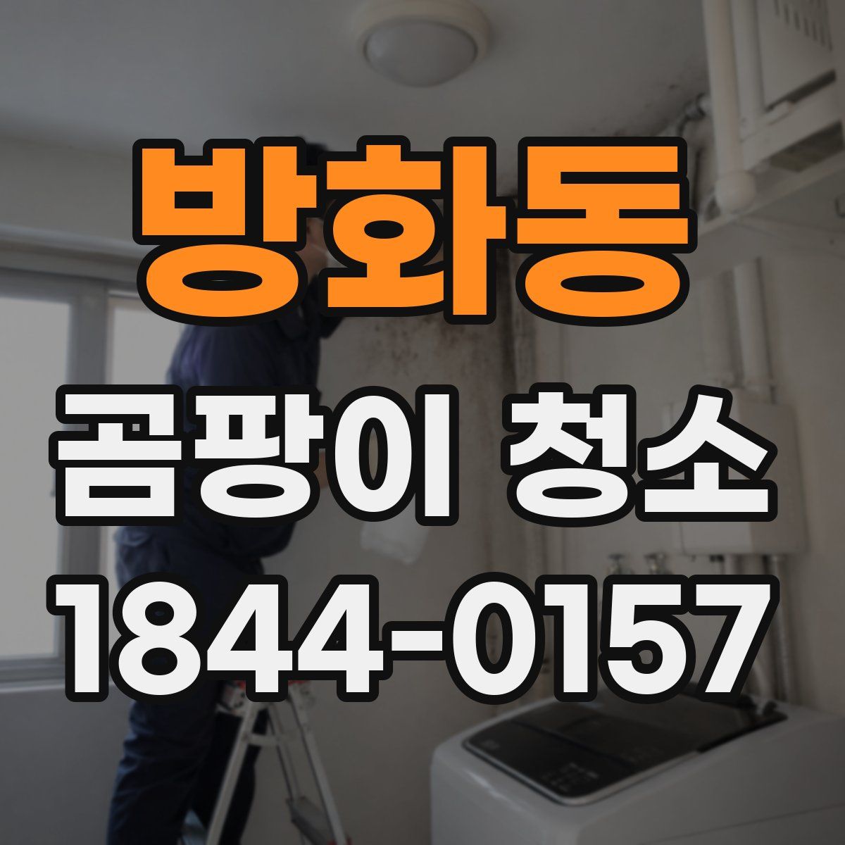 방화동 곰팡이 청소