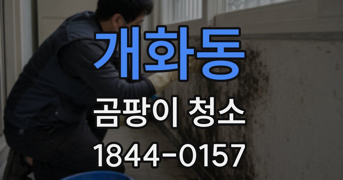 개화동 곰팡이 청소