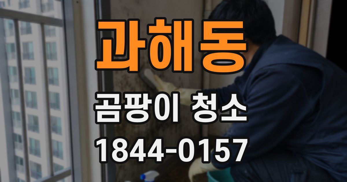 과해동 곰팡이 청소