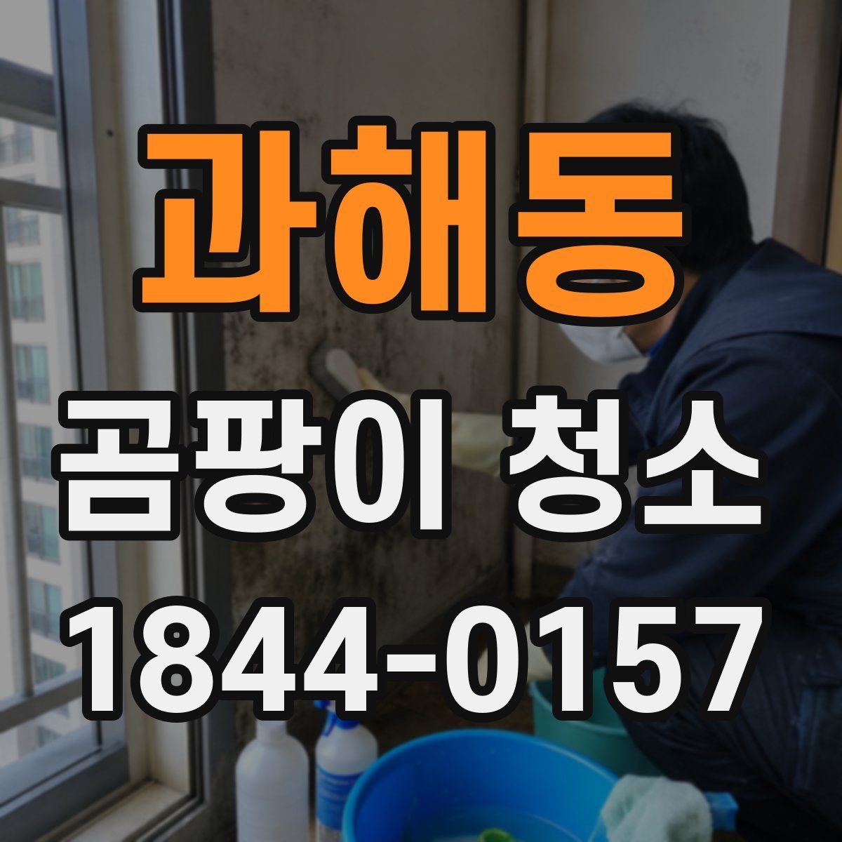 과해동 곰팡이 청소