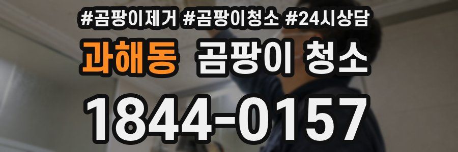 과해동 곰팡이 청소