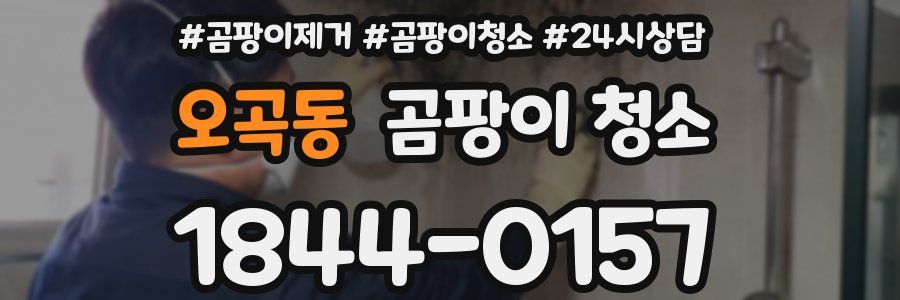 오곡동 곰팡이 청소