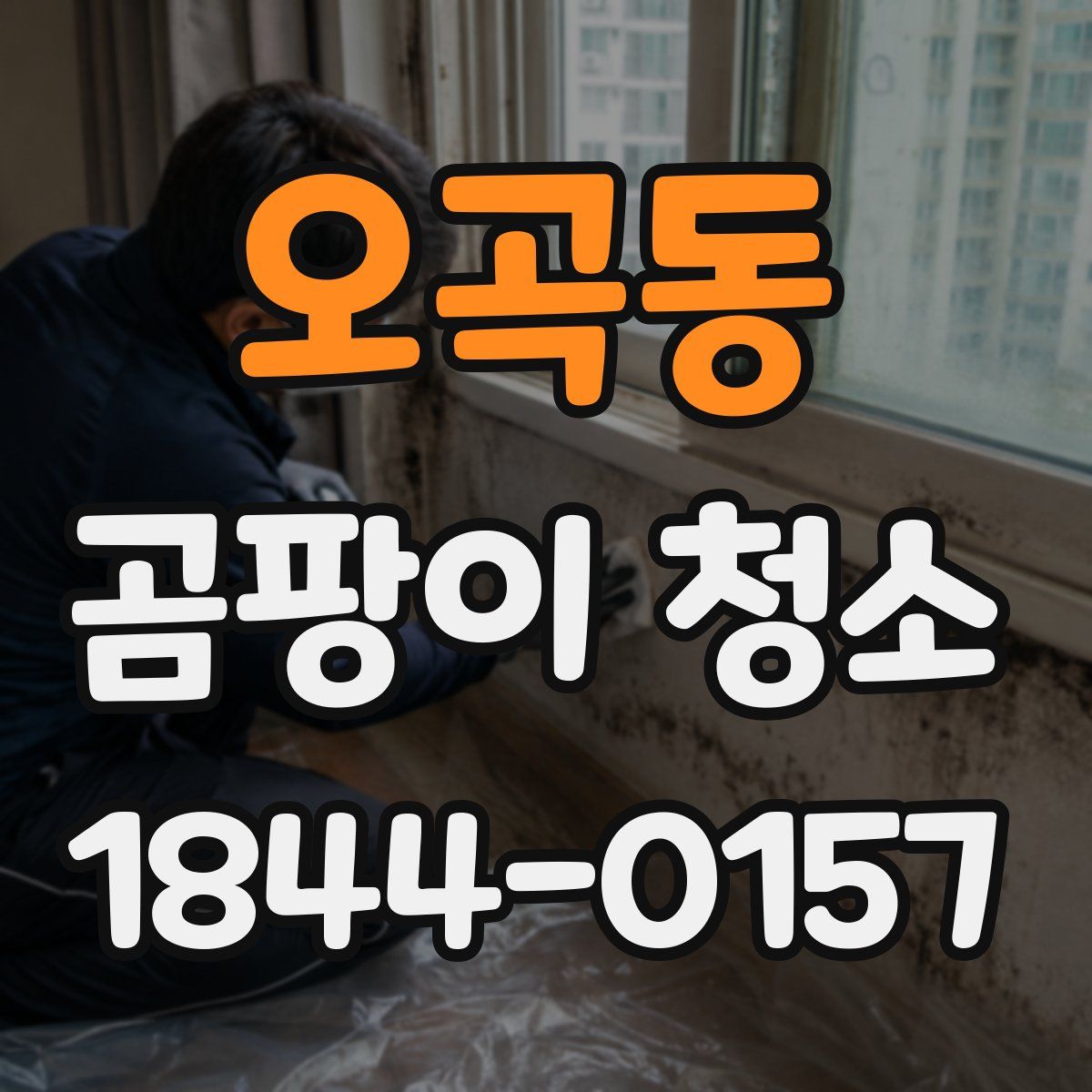 오곡동 곰팡이 청소