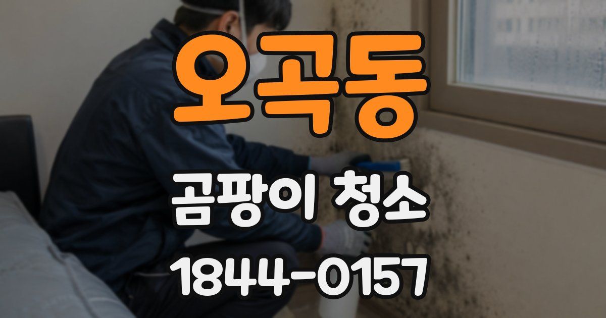 오곡동 곰팡이 청소