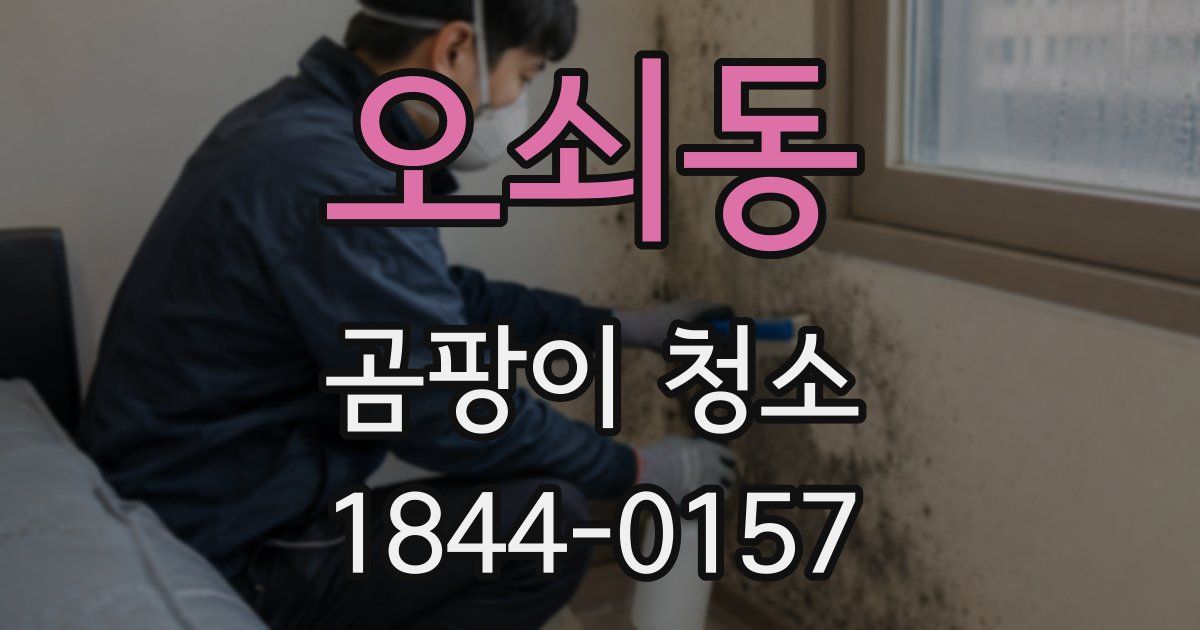 오쇠동 곰팡이 청소