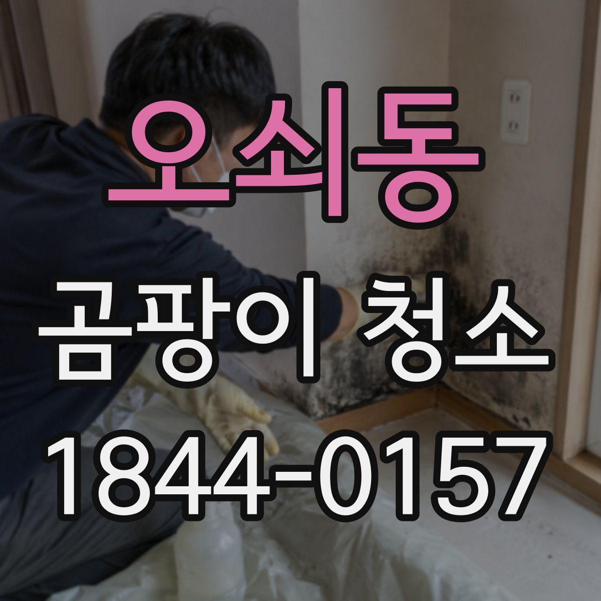 오쇠동 곰팡이 청소