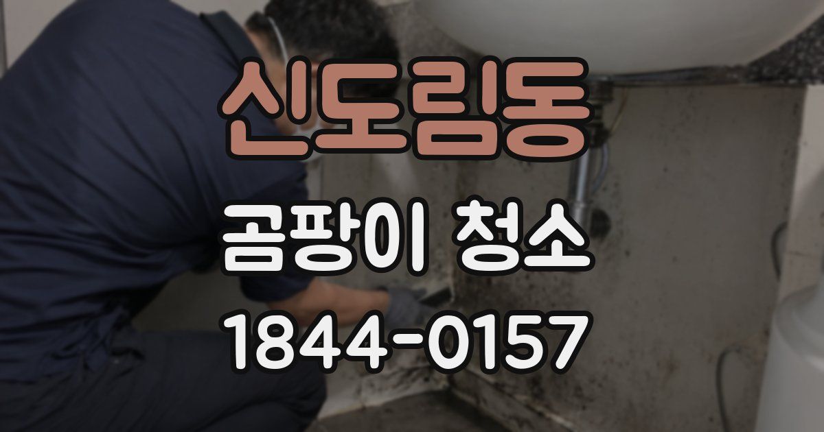 신도림동 곰팡이 청소
