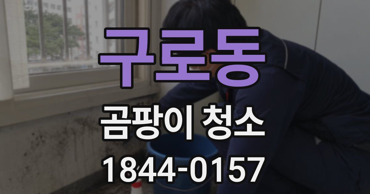 구로동 곰팡이 청소