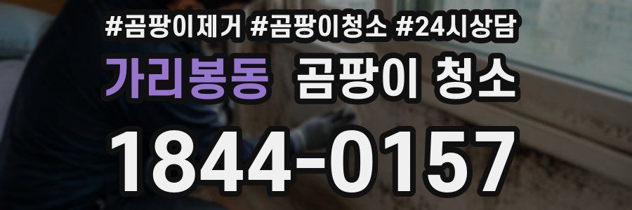 가리봉동 곰팡이 청소