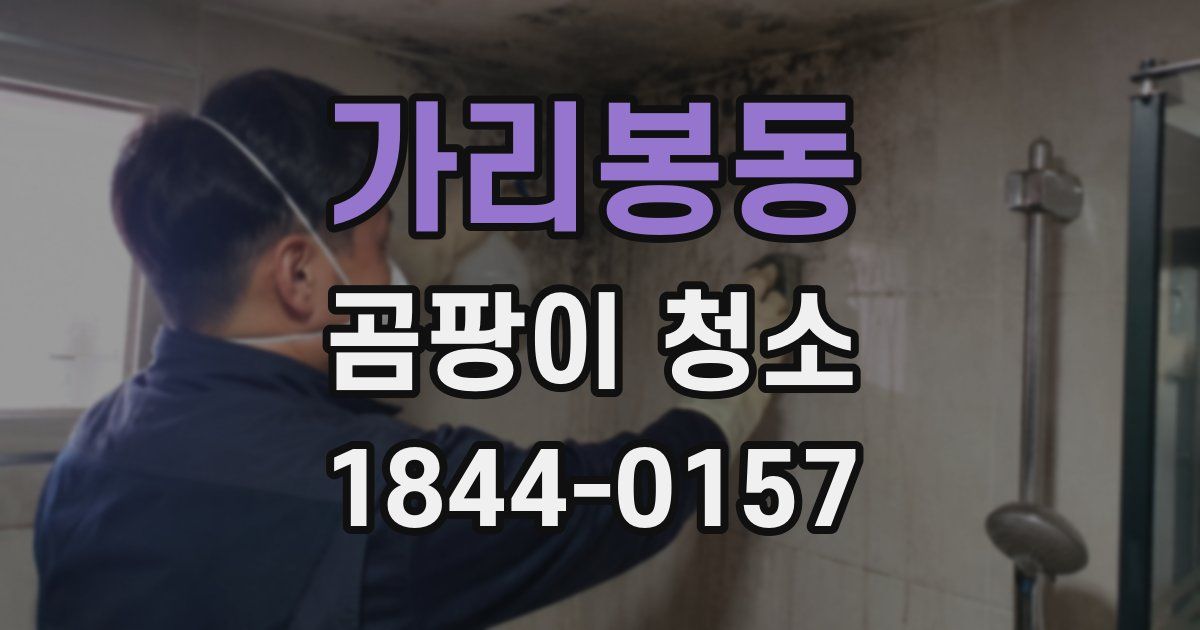 가리봉동 곰팡이 청소