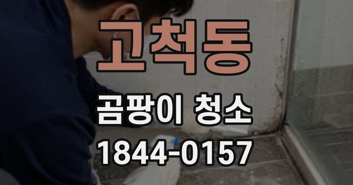 고척동 곰팡이 청소