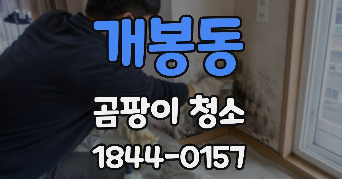 개봉동 곰팡이 청소