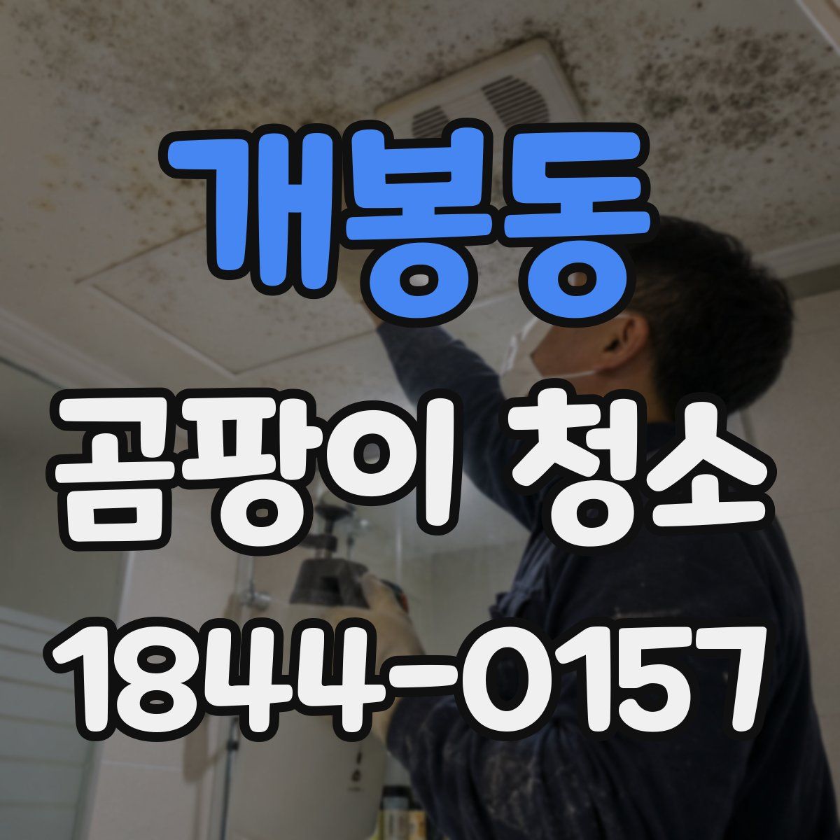 개봉동 곰팡이 청소