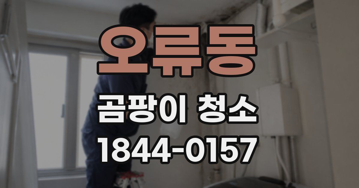 오류동 곰팡이 청소