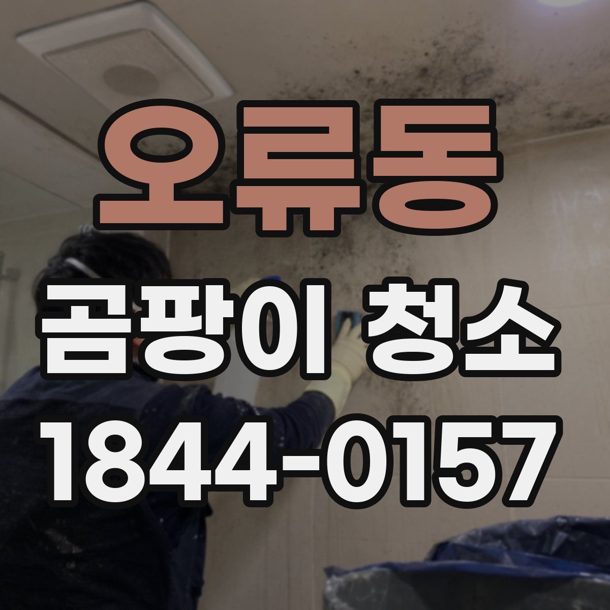 오류동 곰팡이 청소