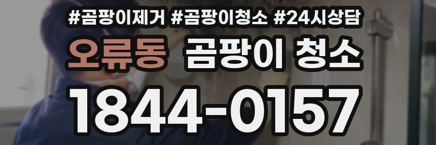 오류동 곰팡이 청소