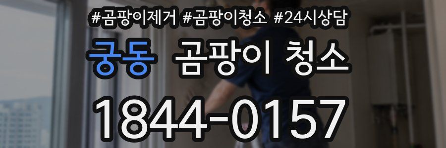 궁동 곰팡이 청소