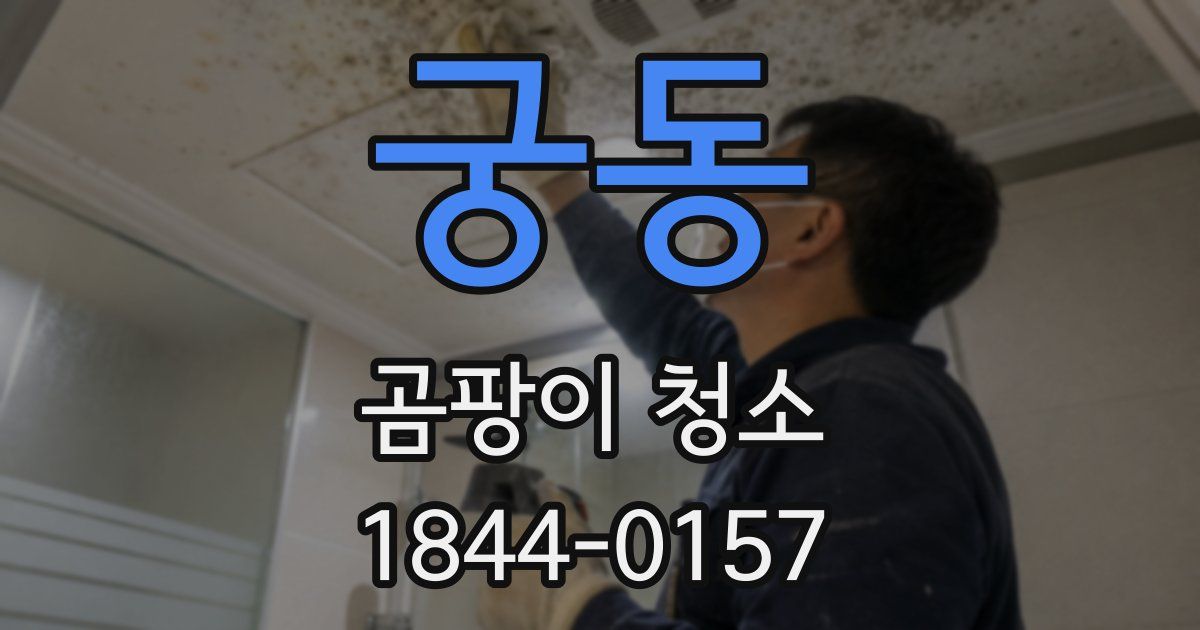 궁동 곰팡이 청소