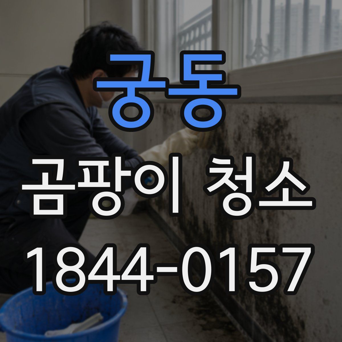 궁동 곰팡이 청소